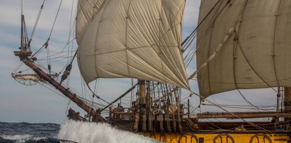 Happy Birthday, Shtandart!