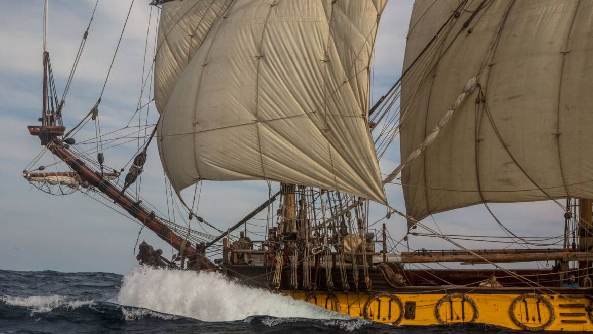 Happy Birthday, Shtandart!