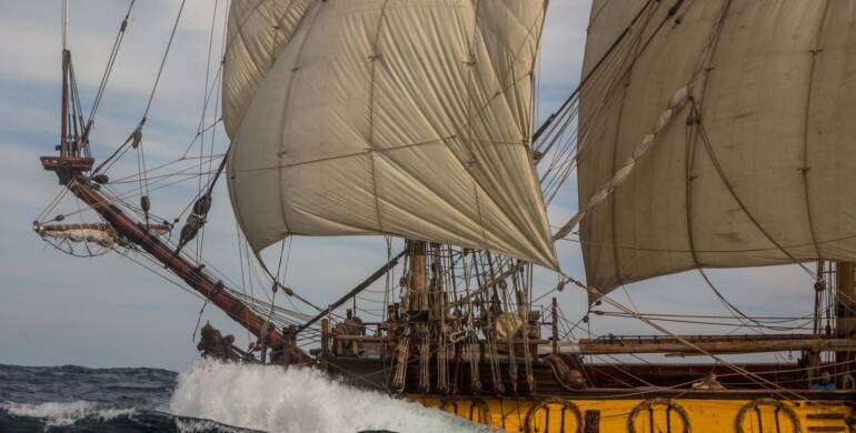 Happy Birthday, Shtandart!