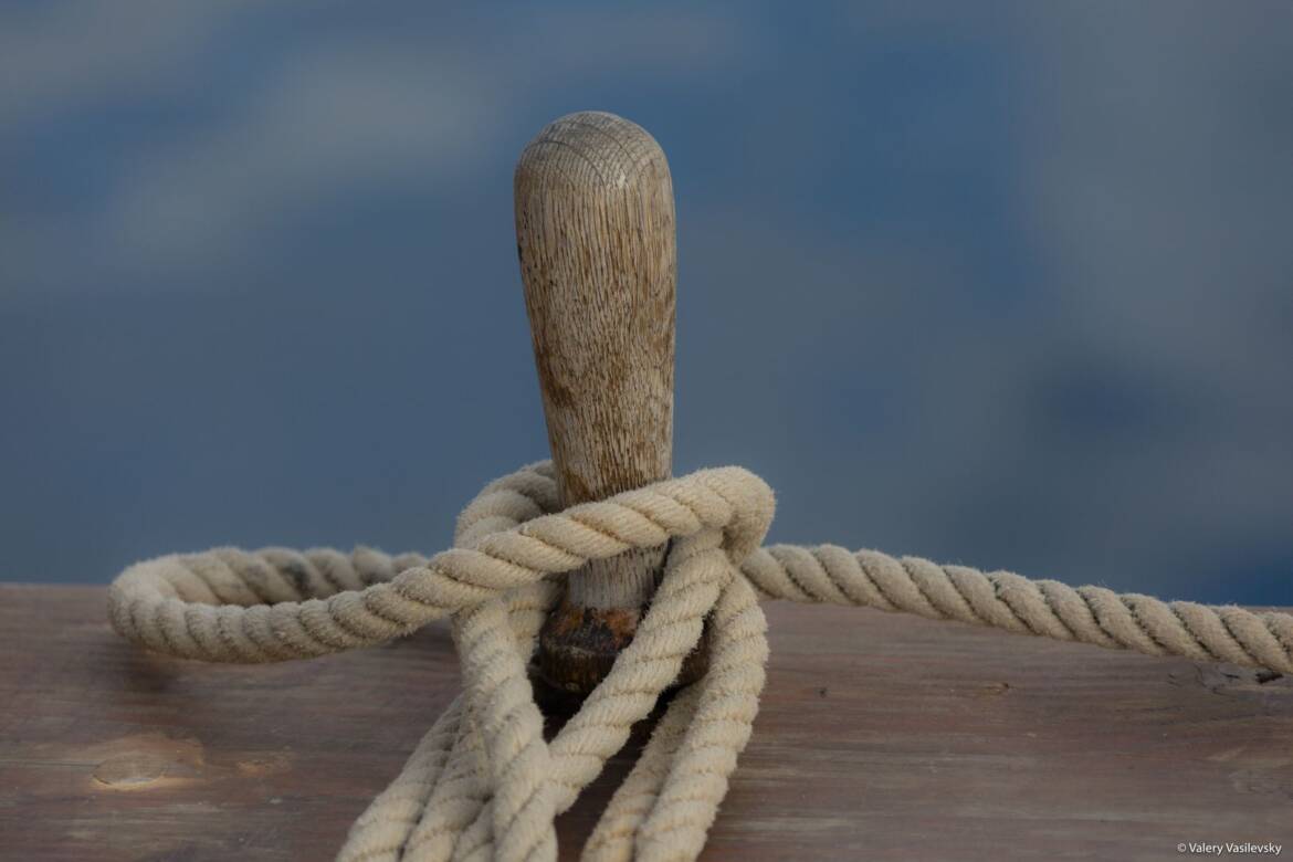 7T5A3682.jpg