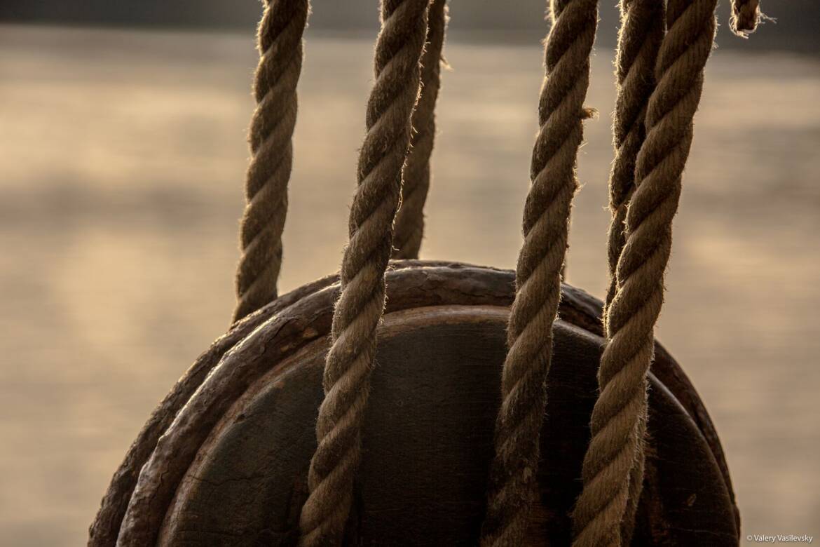 7T5A3837.jpg